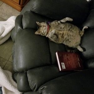 Meet your Posher, Catherine